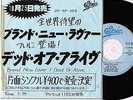 DEAD OR ALIVE Brand New Lover JAPAN PROMO-ONLY 7