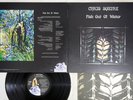 CHRIS SQUIRE FISH OUT OF WATER ATLANTIC P-10068A Japan Vinyl LP