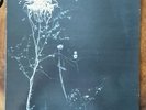 DARKTHRONE - UNDER A FUNERAL MOON  ORIGINAL LP