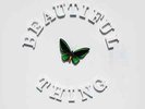 The Stone Roses-Beautiful Thing 12'Vinyl Unplayed & Sealed