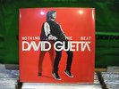 David Guetta ?– Nothing But The Beat ' 2 X LP MINT & SEALED