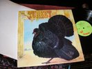 WILD TURKEY   -     Turkey,       RARE ORIGINAL 1972 UK LP / inner..... EX+
