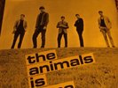 the Animals.is Here.rare EP.baby Let Me Take You Home.45rpm.7