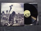 Lights - Siberia Acoustic Vinyl LP Black