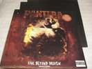 PANTERA Far Beyond Driven 2 x 12