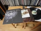 COCTEAU TWINS 
