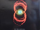 2 lp 33 Pearl Jam Binaural 2014 book 4945901000 epic