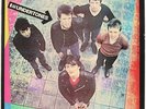 The Undertones   The Undertones Vinyl Record