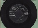 BEATLES  Ain't She Sweet   Atco   1964  45 rpm
