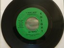 GARAGE The Tropics I Want More Florida rocker on Knight 45 rpm Tampa Knight K-10