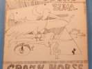 NEIL YOUNG & CRAZY HORSE ZUMA LP 1975 ORIGINAL PRESS GREAT COND  VG+/VG+ A