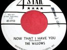 THE WILLOWS Now That I Have You 45 Rare & Killer Orig 4 Star PROMO Doo Wop NICE