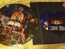 MICHAEL JACKSON  MICHAEL LP RARE PICTURE DISC  12