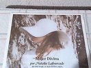 LP VINYL NATALIA LAFOURCADE.- MUJER DIVINA CAIFANES ZOE LEON LARREGUI