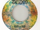 SHADOWS OF KNIGHT Shake TEAM GARAGE  NORTHERN SOUL 45