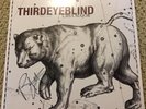 Third Eye Blind Ursa Major LP Splatter Vinyl Autographed