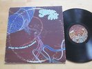 Felicity Facility - Sweet Air LP Private Press Avant Psych Drone Chip Weitzner