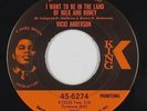 Funk 45 - Vicki Anderson - The Land Of Milk And Honey - King - VG++ mp3