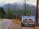Twin Peaks OST LP 1990 Original 1st PRESS Angelo Badalamenti David Lynch Brazil