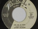 Deep Soul/Funk 45 - Levert Allison - My All Is You - S.B.I. - mp3
