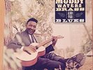Muddy Waters - Brass & the Blues - Chess LP, CH 9286, EX, Vinyl Record Album