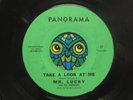 RARE GARAGE PUNK 45   MR LUCKY Take a Look at Me PANORAMA JERDEN PORTLAND Sonics