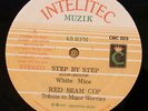 WHITE MICE Step By Step ORIGINAL INTELITEC MUZIK RARE SHAKA DIGI KILLER LISTEN