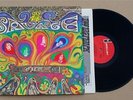THE SAVAGE RESURRECTION: ORIGINAL 1st PRESS 1967 PSYCH GARAGE FUZZ STEREO LP
