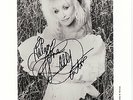 4027 DOLLY PARTON  Country 20x25cm Original-Autogrammfoto, signed autographed AF
