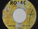 Northern Soul/Funk 45 - Curtis Lee - Everybody's Going Wild - Rojac - mp3