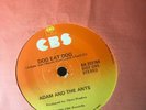 Adam and the Ants - Dog Eat Dog 7