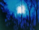 Flying Saucer Attack ?– Further SEALED Drag City ?VINYL LP