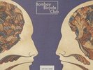 BOMBAY BICYCLE CLUB Different Kind Of Fix LP Vinyl NEW 2011
