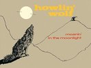Howlin' Wolf - Moanin' in the Moonlight