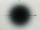 Johann Johannsson - Orphee [New Vinyl]