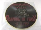 METALLICA *ROAMING IN ITALY* VERY RARE 1992 PROMO PICTURE DISC LP