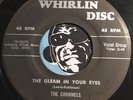 CHANNELS Doowop 45 Whirlin Disc #102 The Gleam In Your Eyes b/w Stars In The Sky