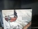 Circa Survive - Juturna Vinyl  Deluxe 10 Year Edition  Orange White Haze
