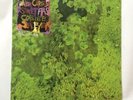 Animal Collective Water Curses LP Vinyl Record