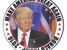 DONALD TRUMP 2016 MAKE AMERICA GREAT AGAIN PICTURE DISC LP USA PATRIOTIC SONGS