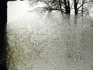 Bon Iver - For Emma, Forever Ago 12