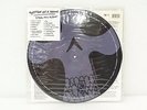 SYSTEM OF A DOWN Steal This Album  2LP Picture Disc Vinyl 2002 Orig US Press OOP