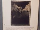 FROM ESTATE LP RECORD PIXIES SURFER ROSA - NM