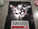 thunderdome die hard 2016 poster / ad