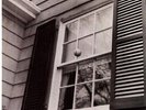 Beach Fossils - What A Pleasure [Vinyl New]
