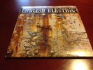 BIG BIG TRAIN ENGLISH ELECTRIC PT.1 VERY RARE VINYL 34/500 NEAR MINT PROG GIANT