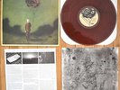 Hidden in Plain View Life in Dreaming Bronze Rose Vinyl LP