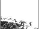 Timber Timbre-Hot Dreams  VINYL NEW