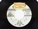 JAMES BROWN 45 Try Me / Tell Me What I Did Wrong - Federal DJ Promo 12337 R&B