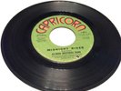 Allman Brothers Band - Midnight Rider/Whipping Post Record